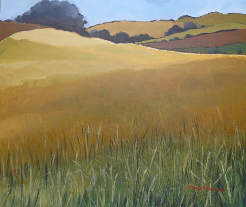 wheatfield